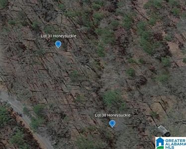 LOT 38 Honeysuckle Ln, Leeds, AL, 35094