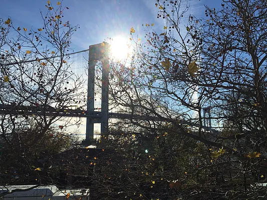 Rented by RES New York | media 5