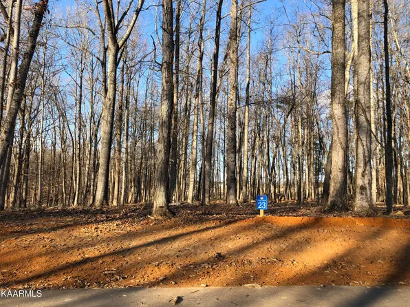 LOT 23/24 Sunset Blvd, White Pine, TN 37890