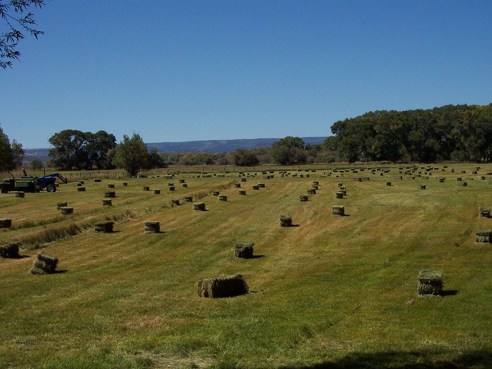 view looking west