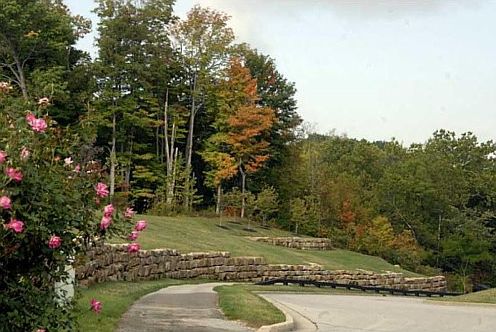 5th image of 701 Bracknell Dr