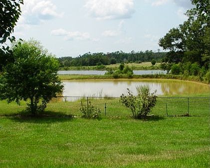 pond/lake