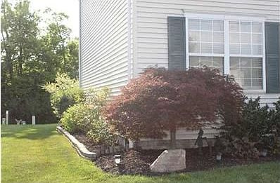 3rd image of 1471 Brookforest Dr