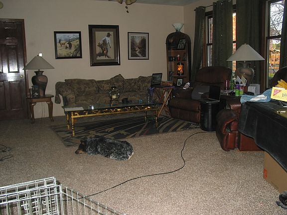 walkout basement family room