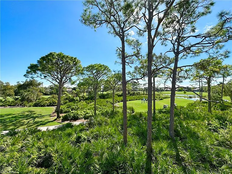 27121 Oakwood Lake Dr — Photo 17