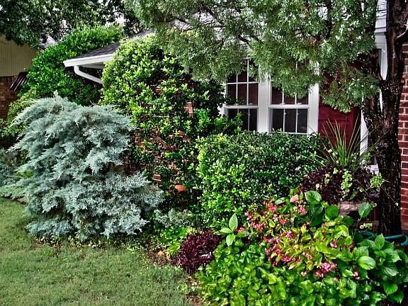 3rd image of 18416 Scarlet Oak Ln