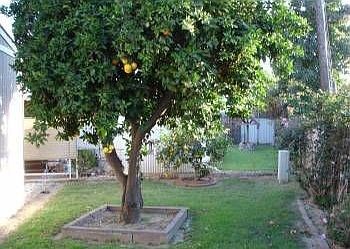 1st image of 720 W Santa Maria St Spc 65