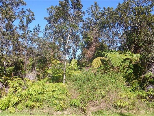 1st image of Nahelenani St Lot 469