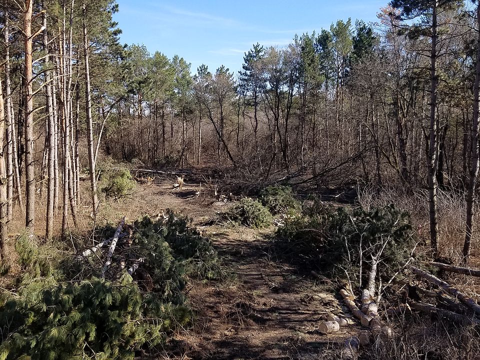 2nd image of 2615 Gaylon St