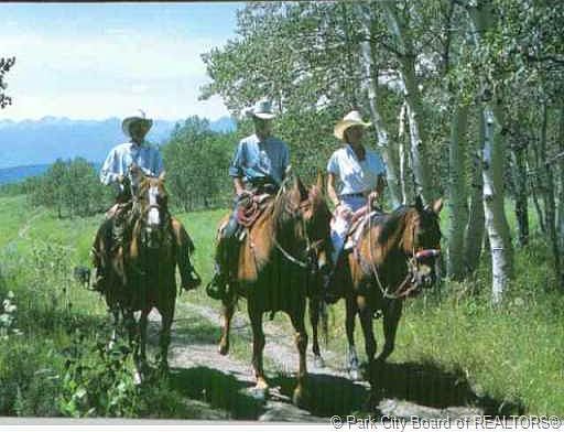 1st image of Wolf Creek Ranch Rd #45