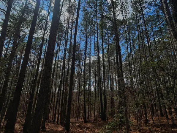 Norman Rd, Hazlehurst, MS 39083