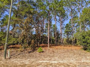 9830 N Corsair Ter, Citrus Springs, FL 34433