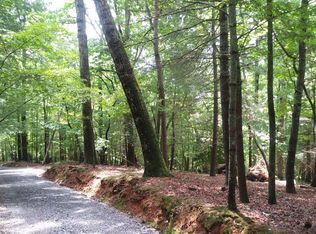 16 Goldmine Rd #2, Ellijay, GA 30536