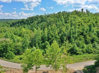 Mount View Rd, Robbins, TN 37852