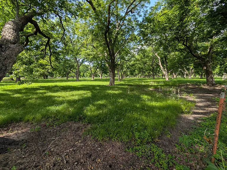 16008 E Highway 64 — Photo 10