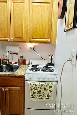 Rented by 24 7 NYC Realty Inc. | media 41