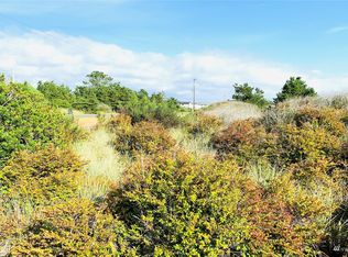 1309 E Ocean Shores Blvd SW, Ocean Shores, WA 98569