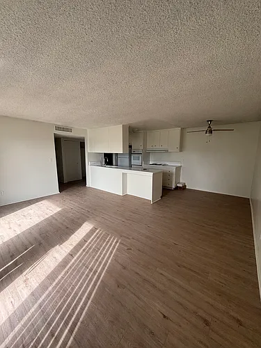 Floor plan 1 Bed 1 bath