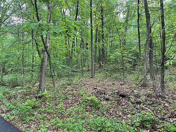 5th image of Huckleberry Ln