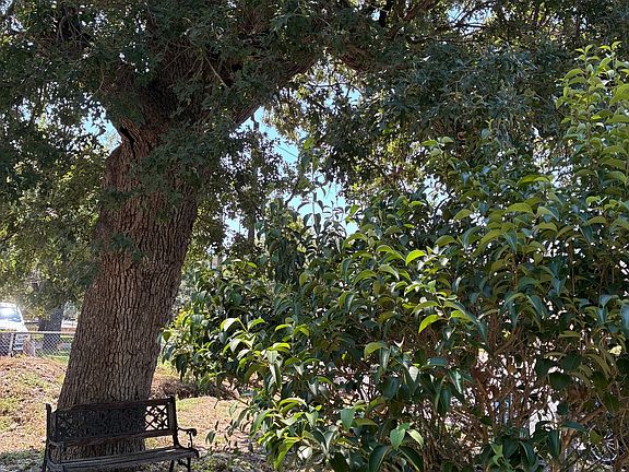 2nd image of 314 E Bandera LOT 12