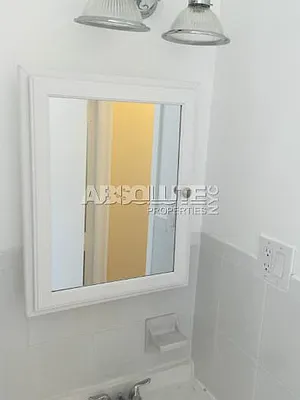 Rented by Absolute Properties of NYC | media 17