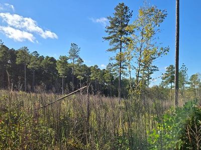 LOT Millville Rd #A, Lawrenceville, VA, 23868