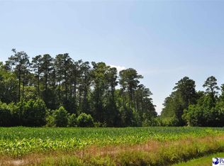 Bucksport Rd, Conway, SC 29527