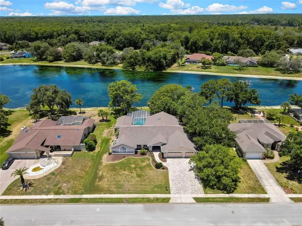 4293 River Birch Dr, Spring Hill, FL 34607