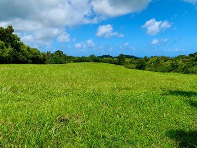 Kaumualii Hwy, Kalaheo, HI, 96741