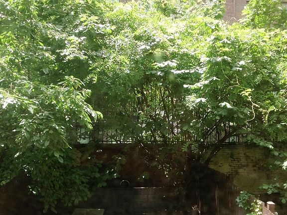 5th image of 218 E 13th St Ph 3