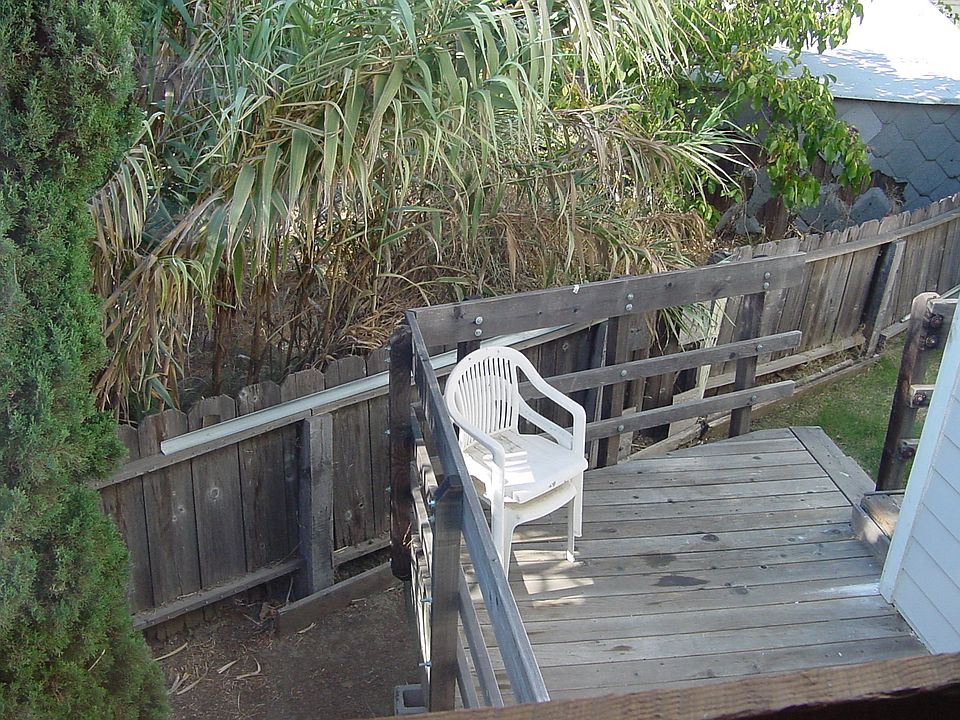 Back patio