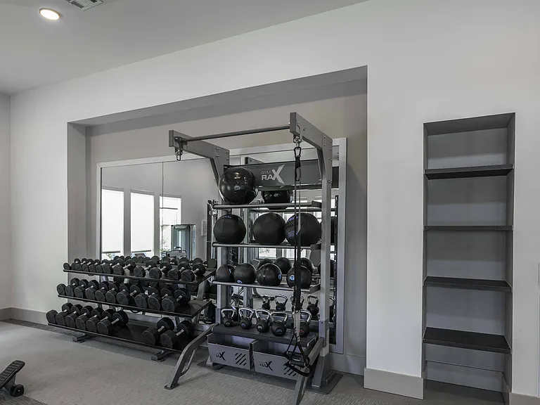 TRX system in fitness center