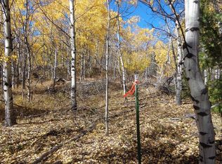 Nhn Clear Creek Trl, Anaconda, MT 59711