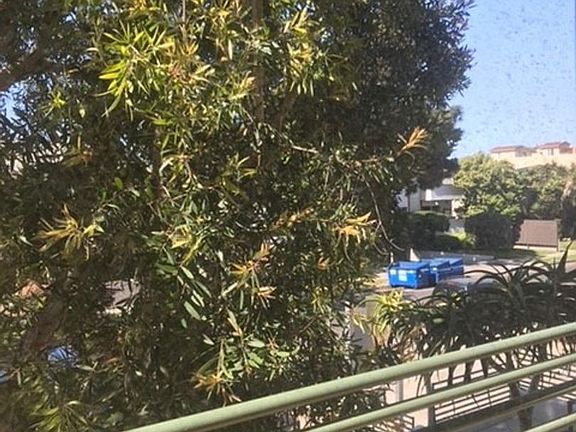 4th image of 3656 Westwood Blvd APT 101