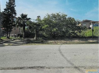 207 W Esperanza St, South Padre Island, TX 78597