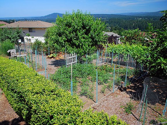 Garden + Additional Lot