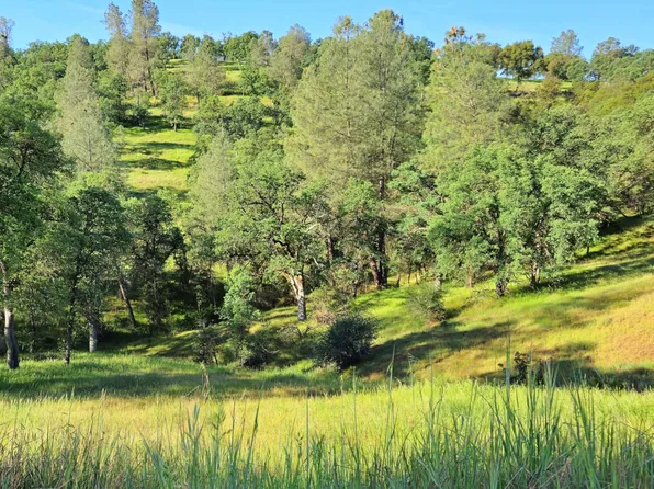 Boneyard Creek Rd, Coulterville, CA 95311
