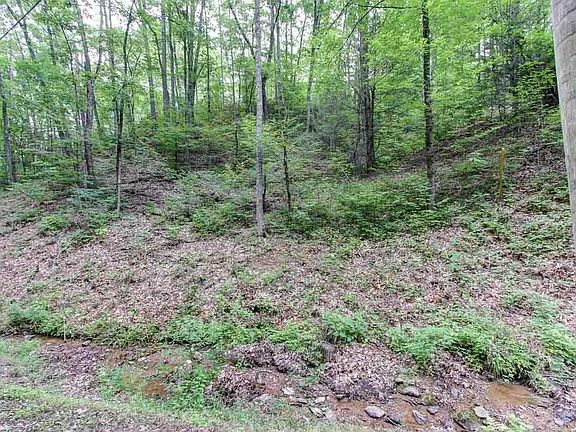 3rd image of 35 Caney Creek Rd