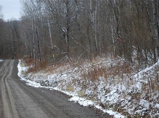 0 Stickney Rd, Prattsburgh, NY 14873