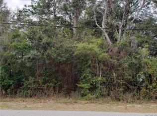 4536 S Leisure Blvd, Lecanto, FL 34461