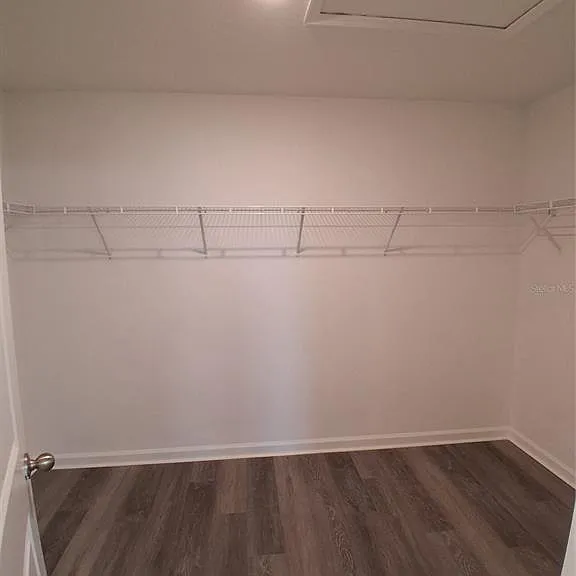 35529 Shade Fern Ln — Photo 15