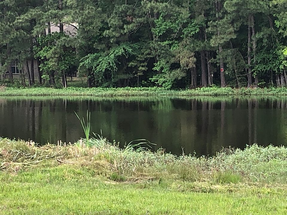 View from lot edge