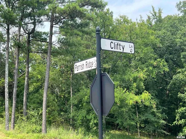 LOT 333 Clifty Ln, Goreville, IL 62939