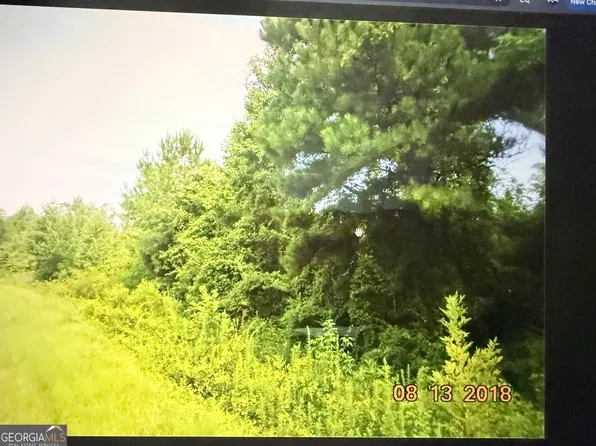 C017-020 Whitaker Rd, Roberta, GA 31078
