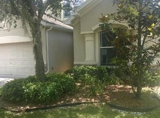 313 Fern Gulley Dr, Seffner, FL 33584