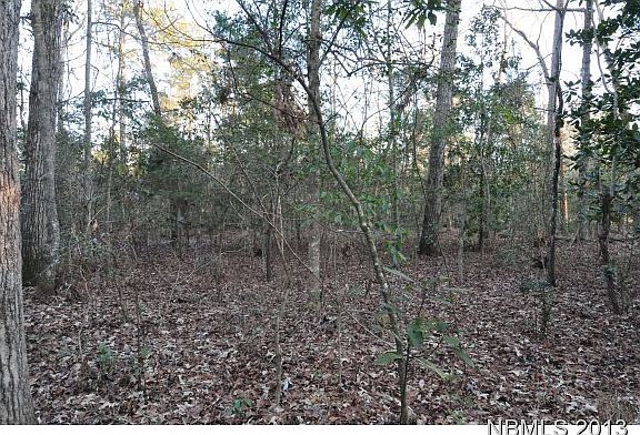 3rd image of Lot 10 W Rock Creek Road