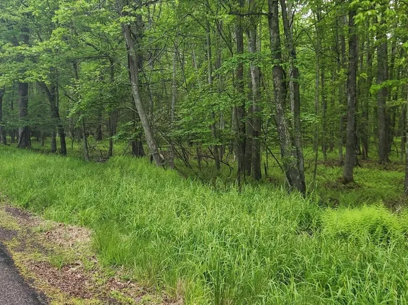 Oley Valley Rd, White Haven, PA 18661