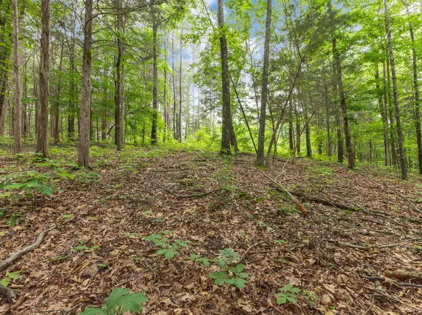 5082 Moorefield Rd, Cunningham, TN 37052