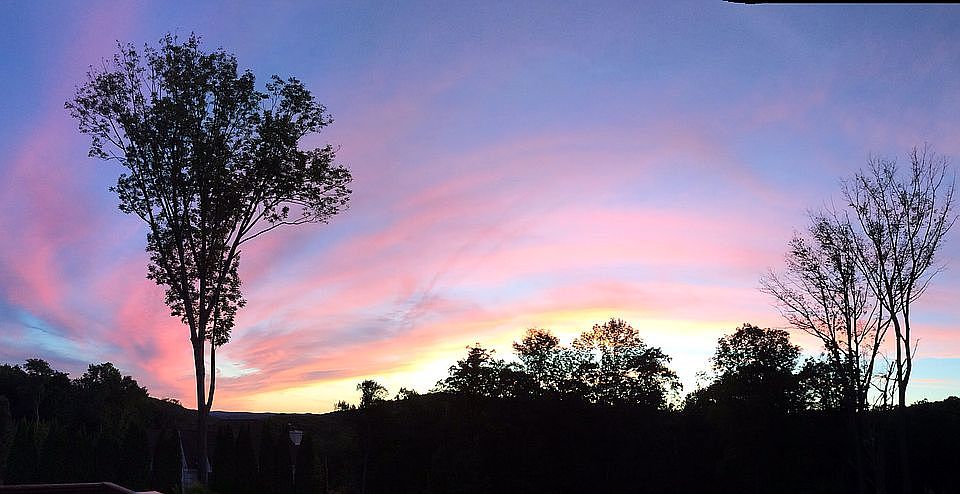 Backyard sunset