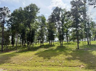 LOT 72 Western Rd LOT 72, Livingston, TX 77351